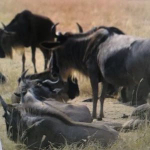 Meet your Posher, Jaydin